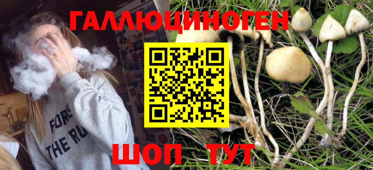 Иваново  Галлюциногенные грибы мухоморы  Вход с VPN 
